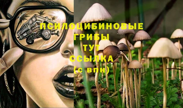 МДМА Белокуриха