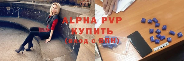 сатива Беломорск