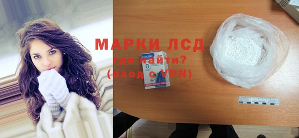 сатива Беломорск