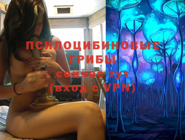 сатива Беломорск