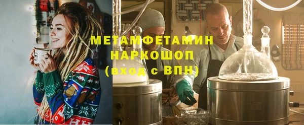 сатива Беломорск