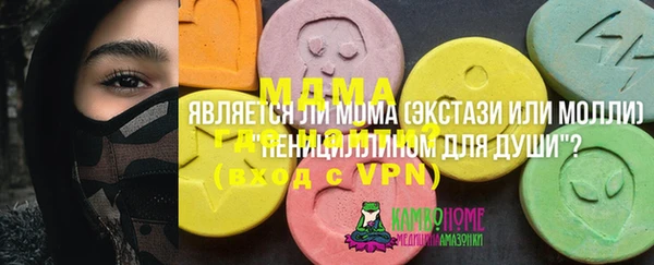 сатива Беломорск