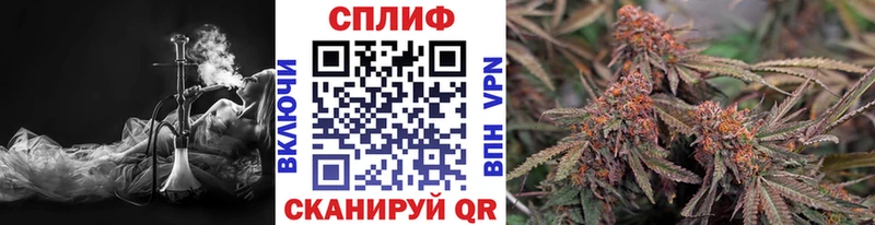Конопля THC 21%  omg рабочий сайт  Верхний Тагил 
